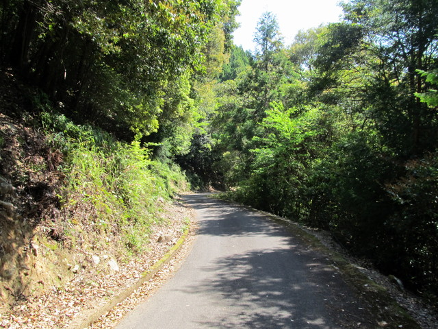 t15_082.jpg