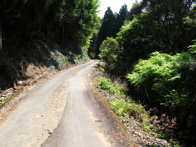 t15_083.jpg