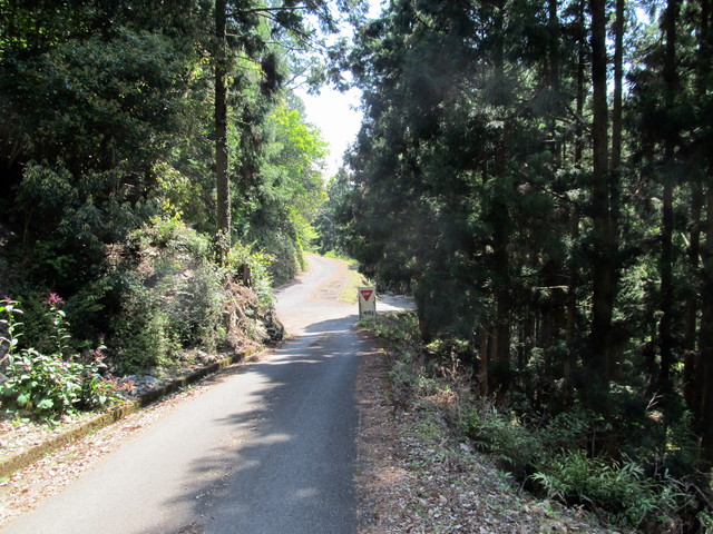 t15_084.jpg