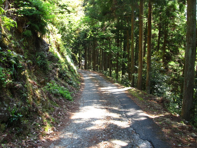 t15_085.jpg