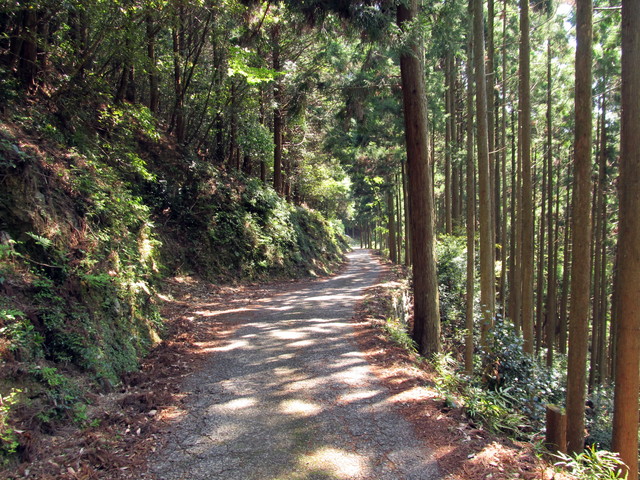t15_086.jpg
