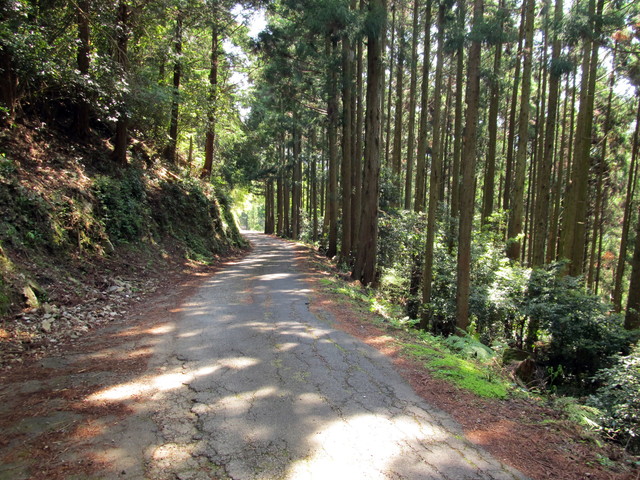 t15_088.jpg