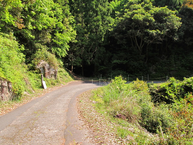 t15_089.jpg