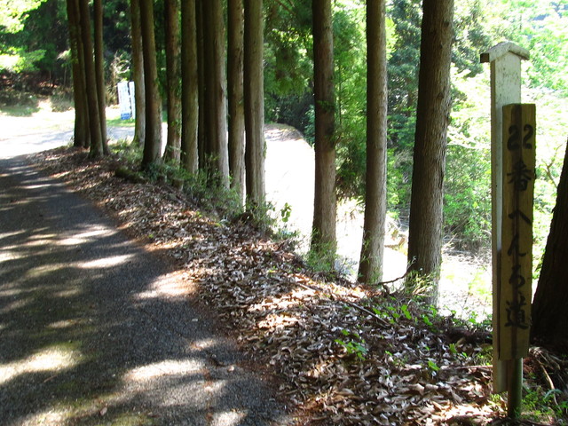 t15_091.jpg