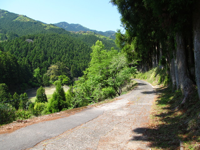 t15_092.jpg
