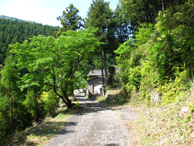 t15_093.jpg
