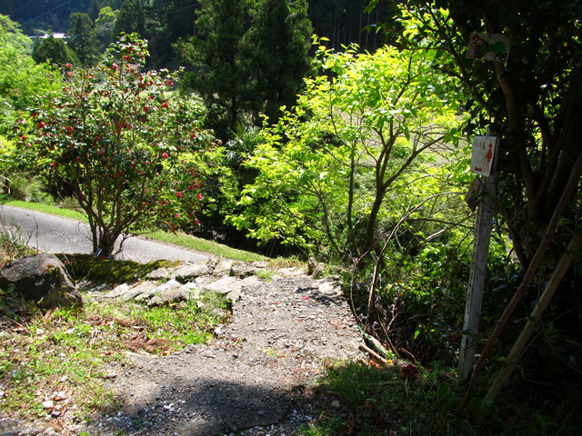 t15_094.jpg