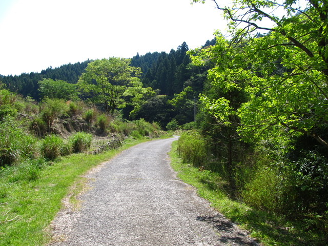 t15_095.jpg