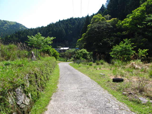 t15_096.jpg