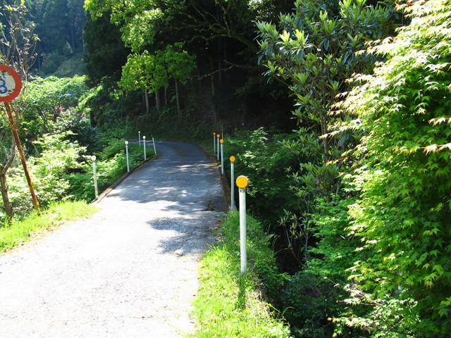 t15_097.jpg