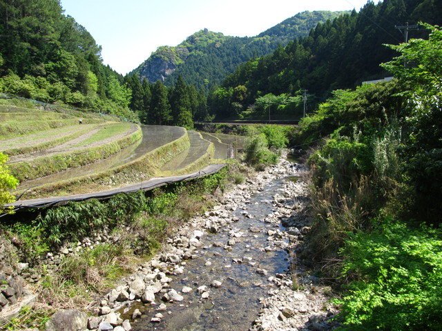 t15_098.jpg