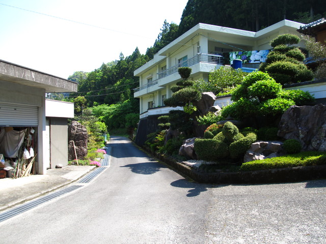 t15_099.jpg