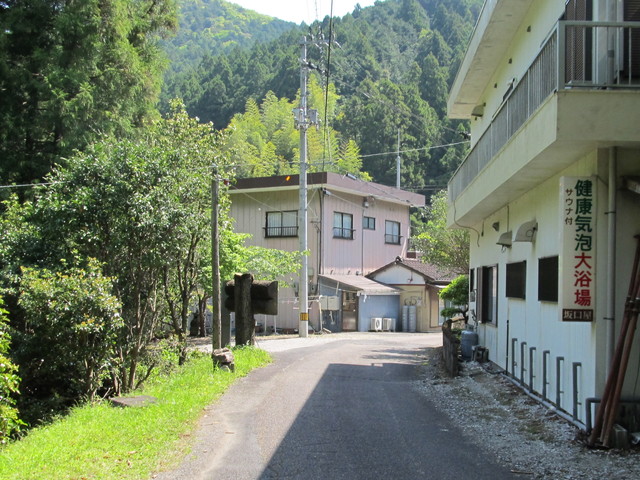 t15_100.jpg