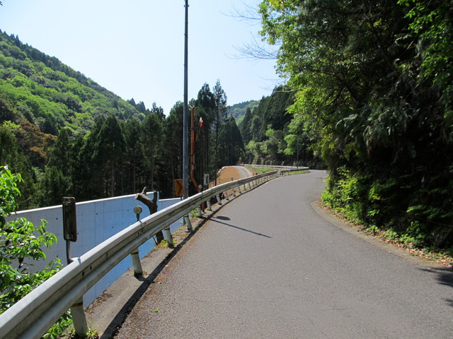 t15_107.jpg