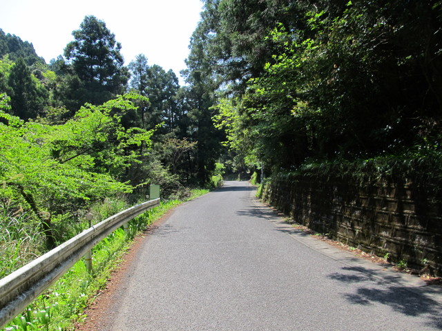 t15_108.jpg