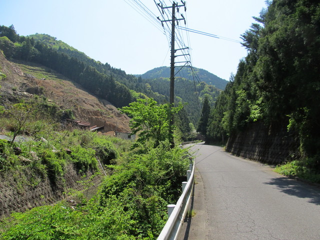 t15_110.jpg