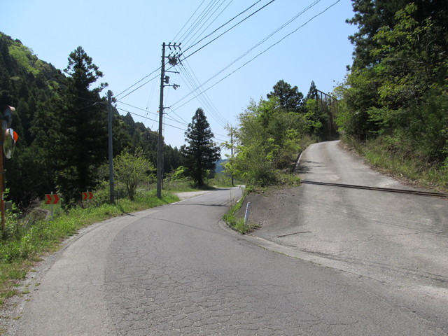 t15_111.jpg