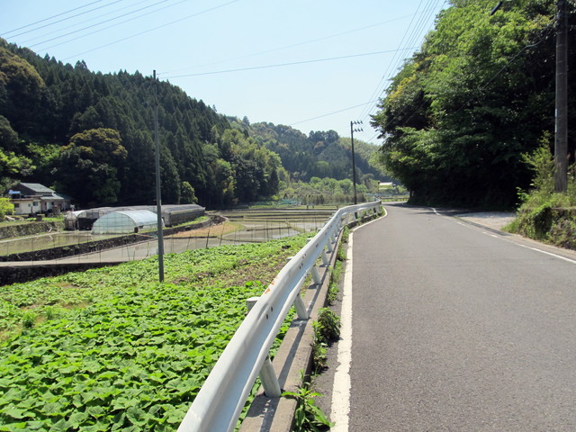 t15_112.jpg