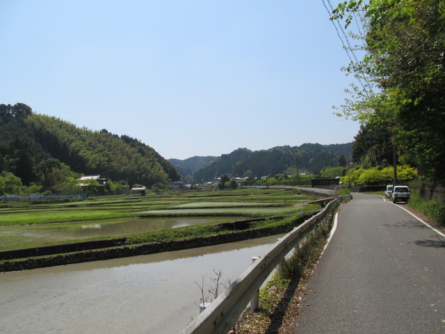 t15_113.jpg