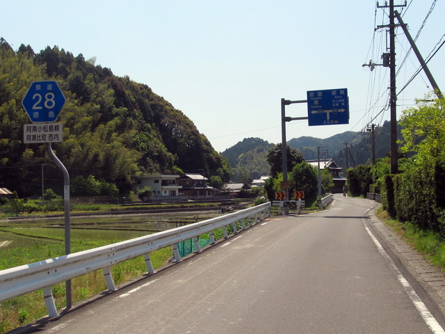 t15_114.jpg