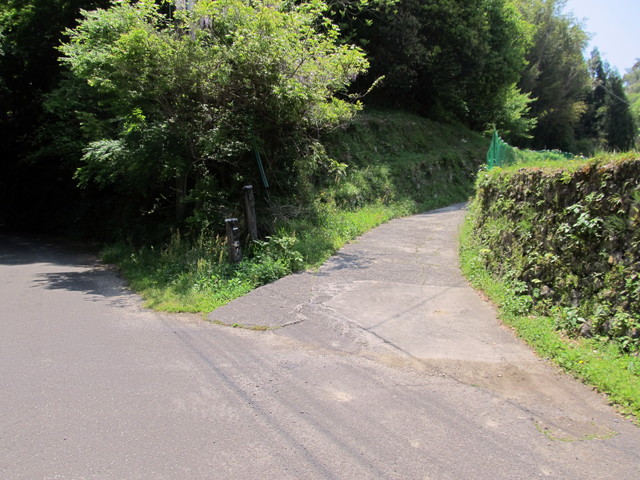 t16_007.jpg