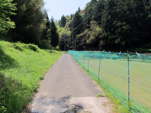 t16_008.jpg