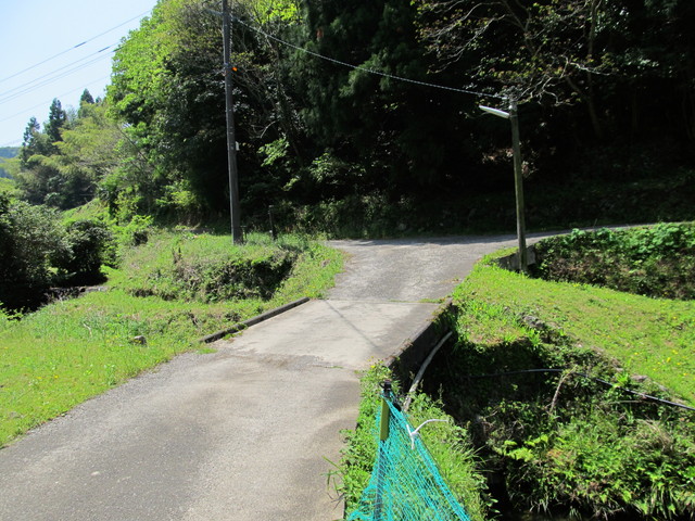 t16_009.jpg