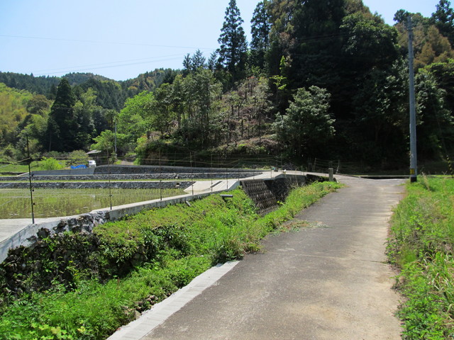 t16_012.jpg