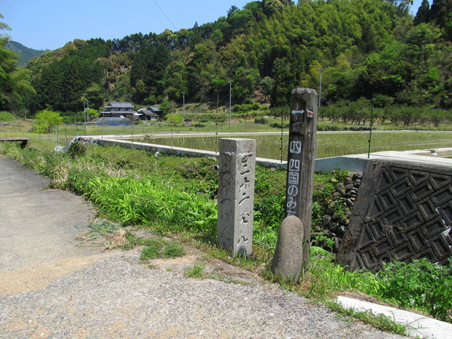 t16_013.jpg
