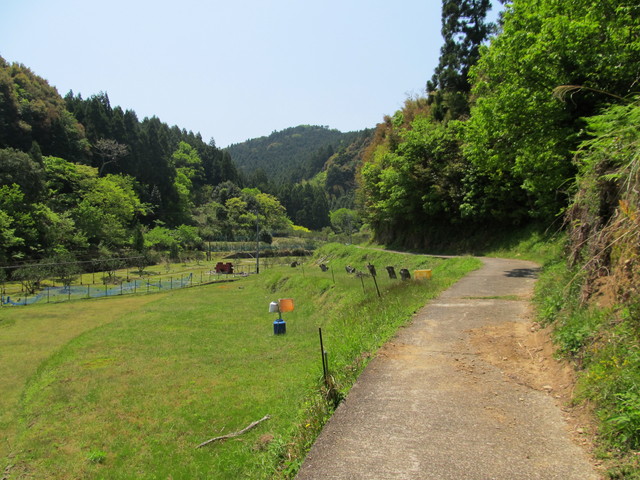 t16_015.jpg