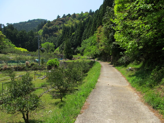 t16_016.jpg