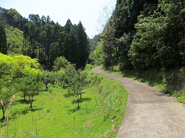 t16_017.jpg