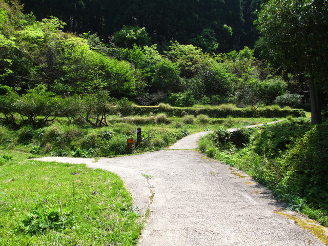 t16_019.jpg