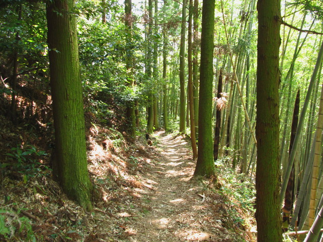 t16_033.jpg