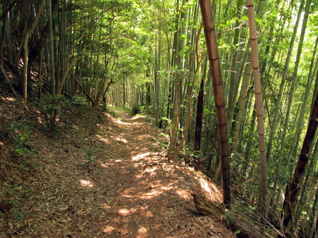 t16_035.jpg