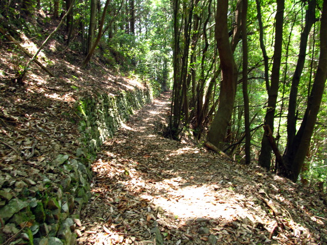 t16_040.jpg
