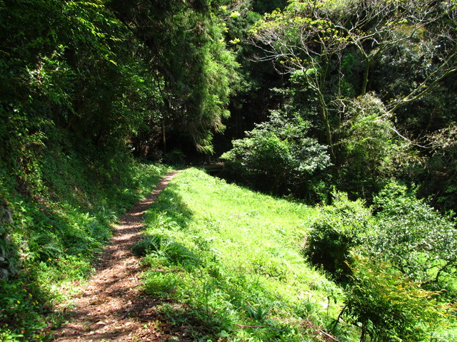t16_045.jpg