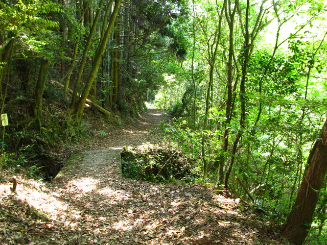t16_048.jpg