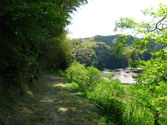 t16_049.jpg