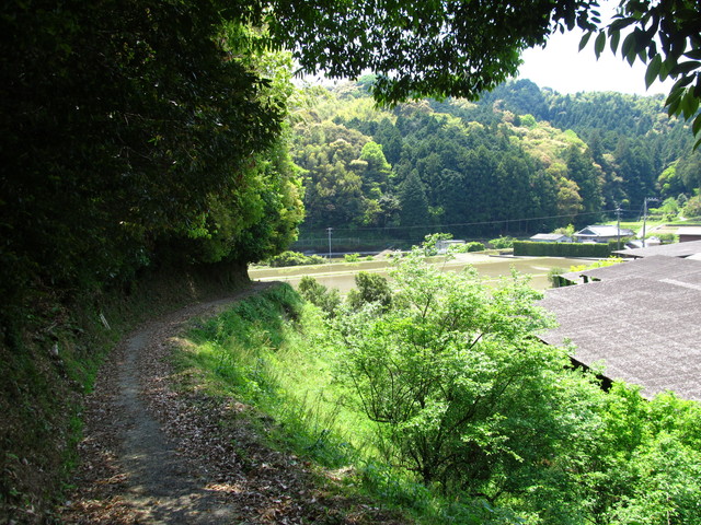 t16_050.jpg