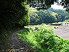 t16_050_thumb.jpg