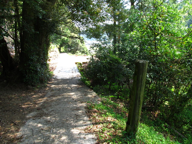 t16_051.jpg