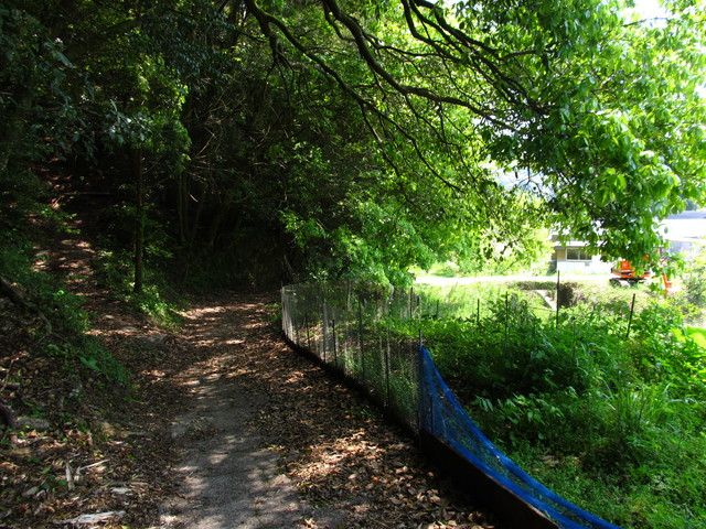 t16_052.jpg