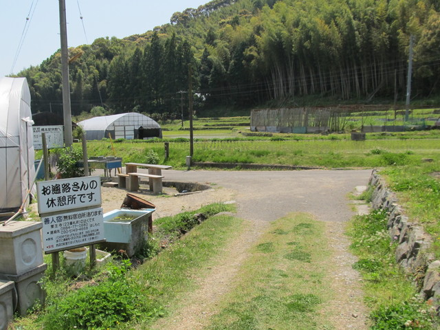 t16_053.jpg