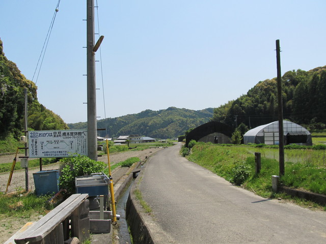 t16_054.jpg