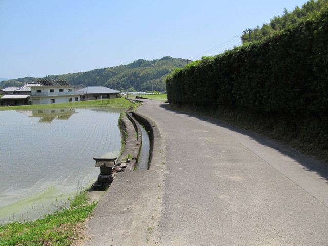 t16_055.jpg