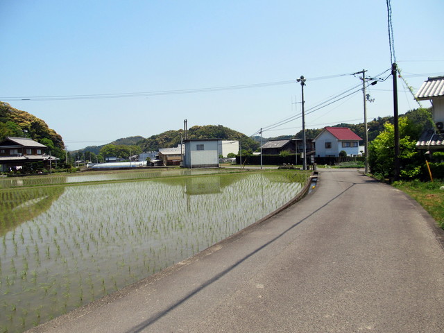 t16_057.jpg