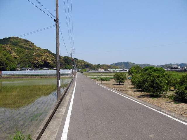 t16_062.jpg