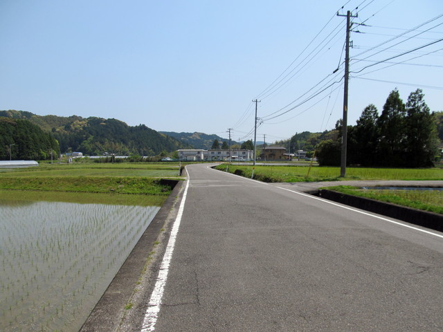 t16_074.jpg