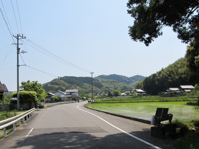 t16_077.jpg